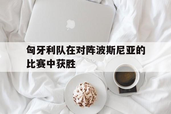 匈牙利队在对阵波斯尼亚的比赛中获胜